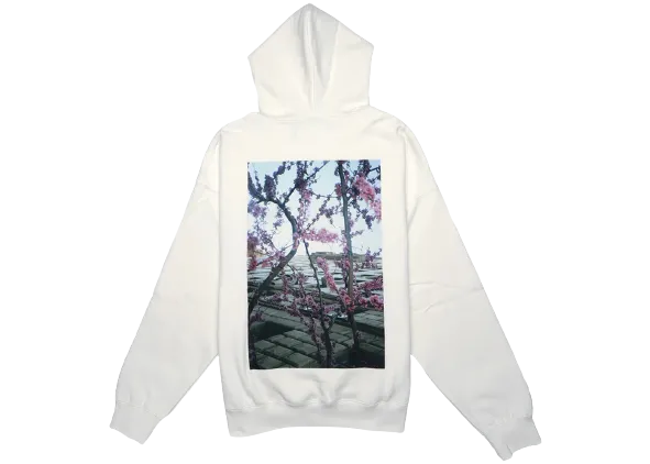 FEAR OF GOD ESSENTIALS "Photo" Hoodie White