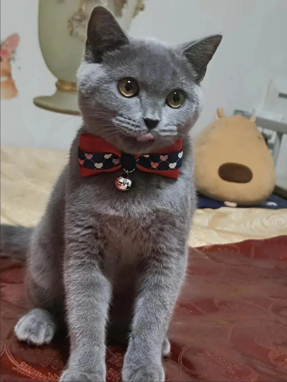 Hexagon and Heart Bowtie Breakaway Cat Collars
