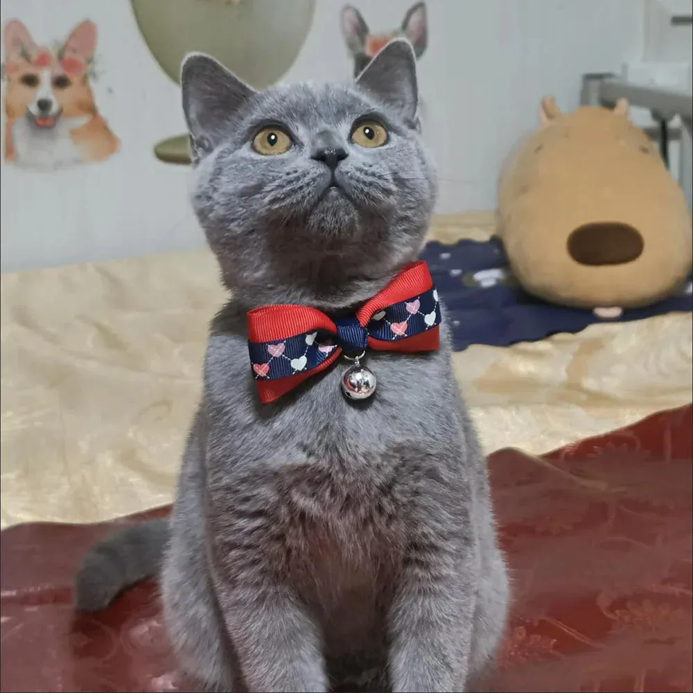 Hexagon and Heart Bowtie Breakaway Cat Collars