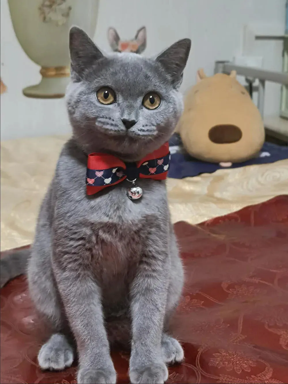 Hexagon and Heart Bowtie Breakaway Cat Collars