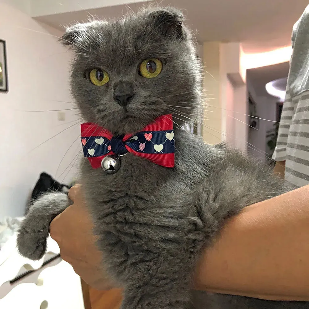 Hexagon and Heart Bowtie Breakaway Cat Collars