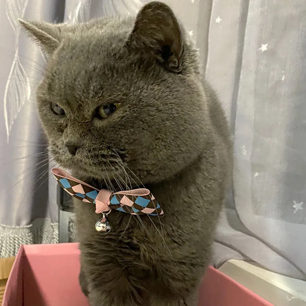 Hexagon and Heart Bowtie Breakaway Cat Collars