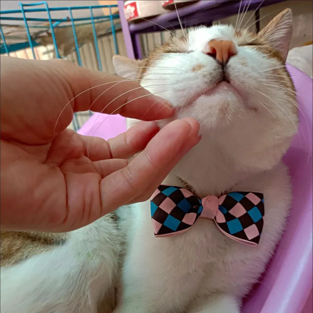 Hexagon and Heart Bowtie Breakaway Cat Collars