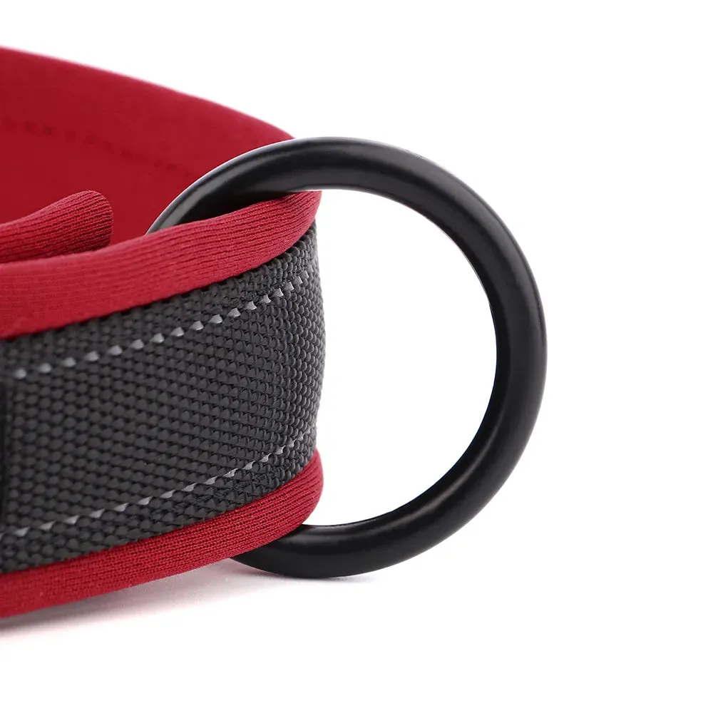 Oberon Personalised Dog Collar Padded