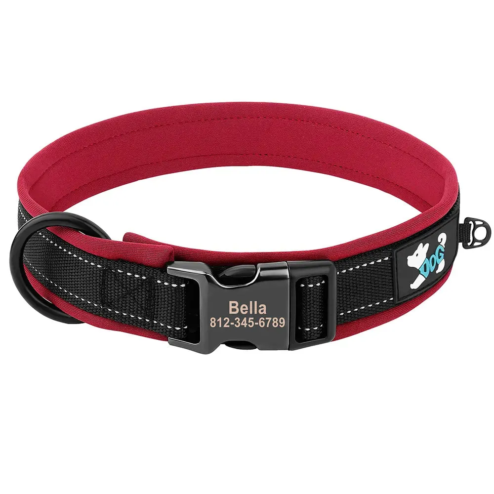 Oberon Personalised Dog Collar Padded