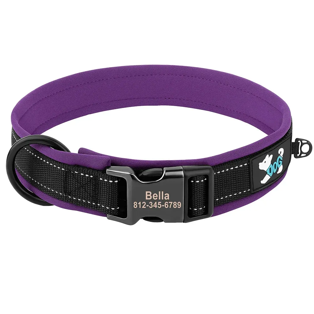 Oberon Personalised Dog Collar Padded