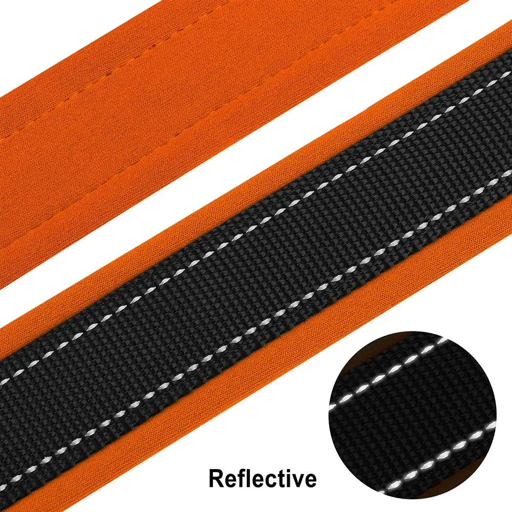Oberon Personalised Dog Collar Padded