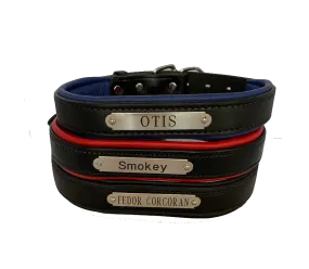 Perri's Black Engraved Padded Leather Dog Collar- with colorful padding- USA made