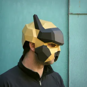 Pilot Helmet