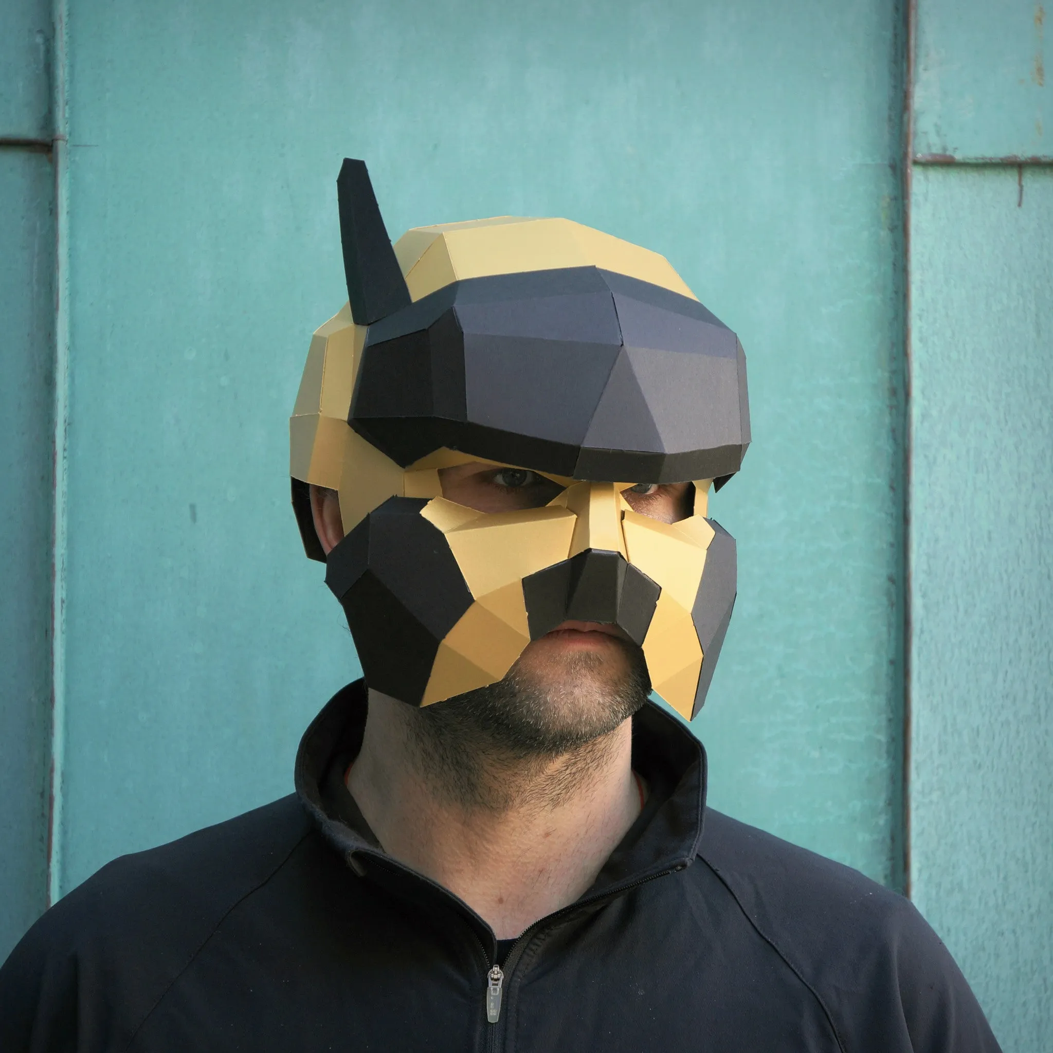 Pilot Helmet