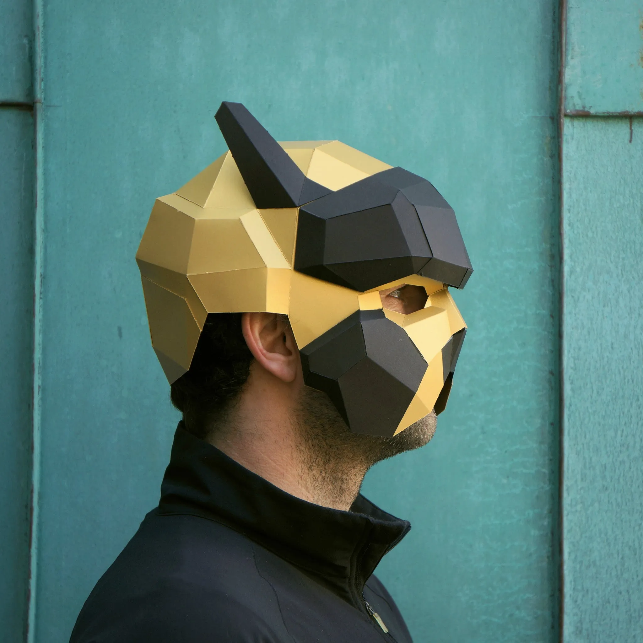 Pilot Helmet