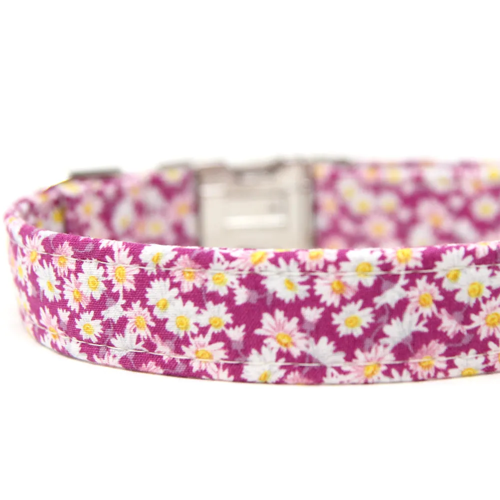 Pop Daisy