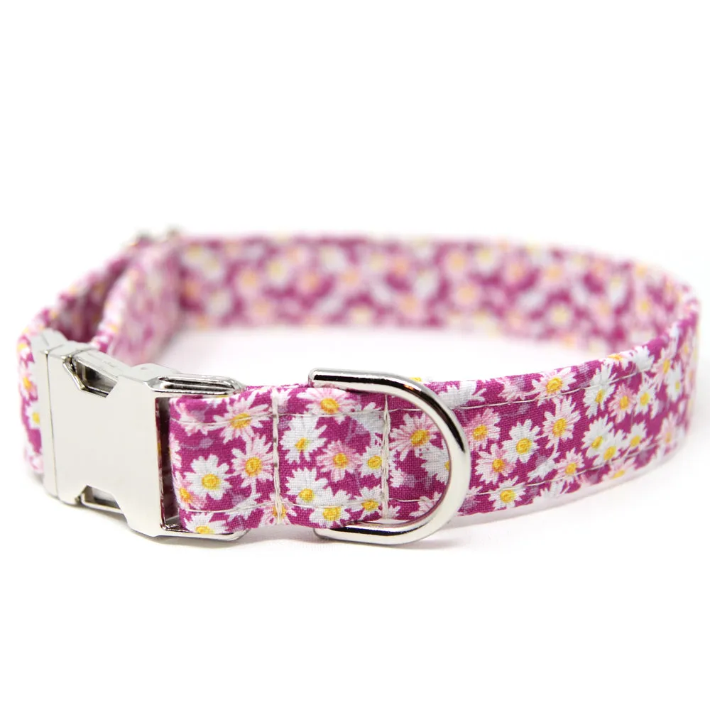 Pop Daisy