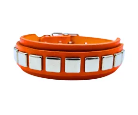 The Trax Collar